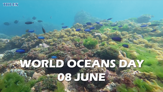 World Oceans Day 2021